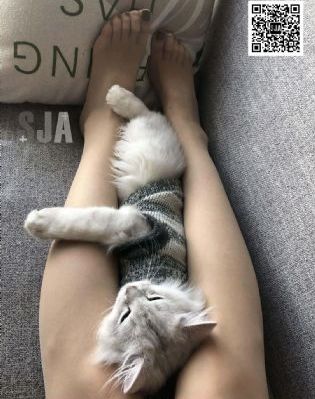 藏精阁免费视频网站_BD免费在线播放